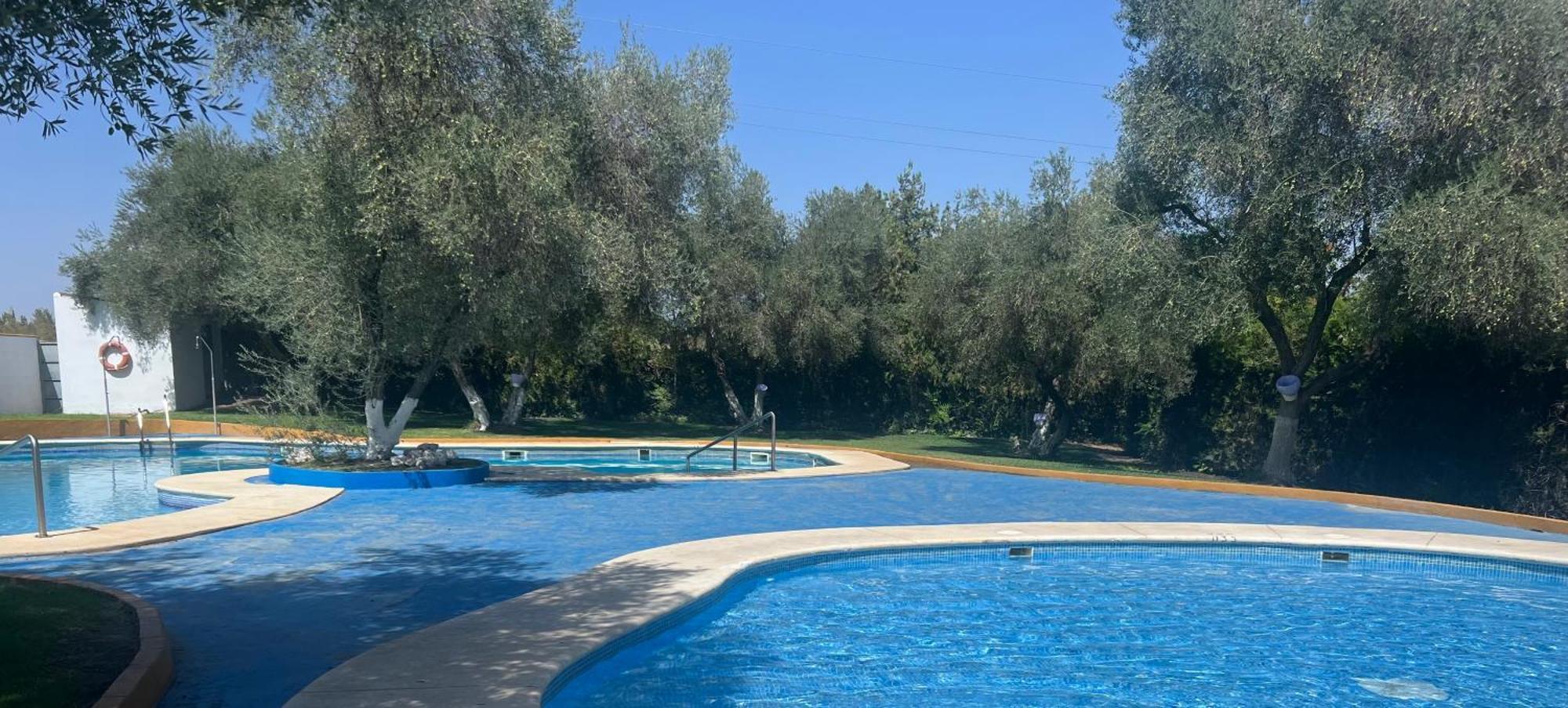 Apartamento A 8Km Sevilla Centro Валенсия де ла Консепсион Экстерьер фото